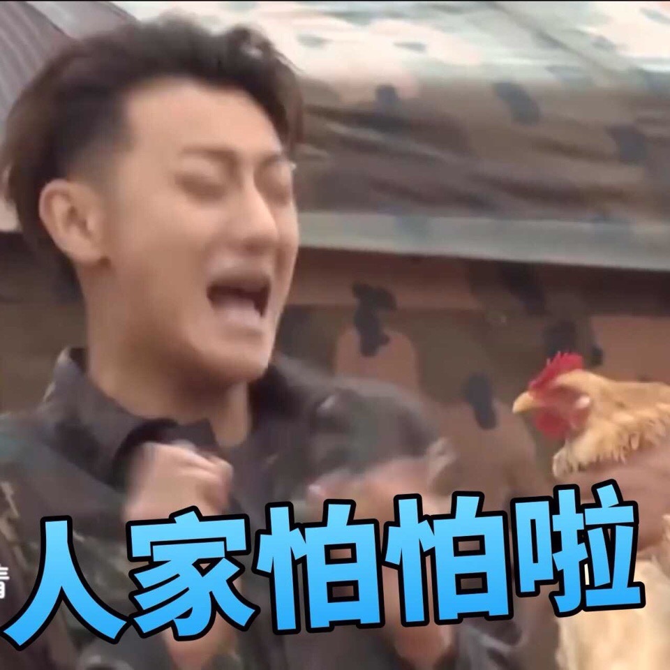 人家怕怕啦爱斗图gif搞笑图片