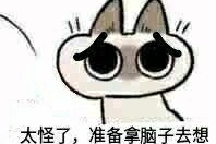 太怪了,准备拿脑子去想爱斗图gif搞笑图片