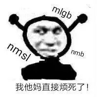 mlgb nmsl nmb 我他妈直接烦死了!爱斗图gif搞笑图片