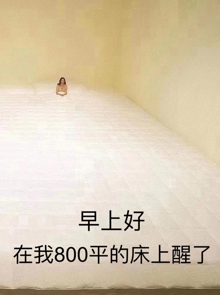 早上好在我800平的床上醒了爱斗图gif搞笑图片