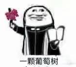 一颗葡萄树爱斗图gif搞笑图片