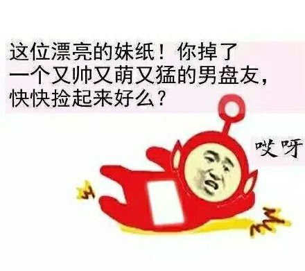 这位漂亮的妹纸！你掉了一个又帅又萌又猛的男盘友，快快捡起来好么？哎呀爱斗图gif搞笑图片