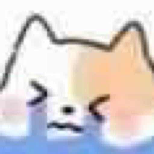 高糊小猫泪了爱斗图gif搞笑图片