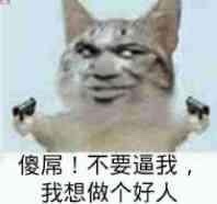 傻屌 不要逼我 我想做个好人爱斗图gif搞笑图片