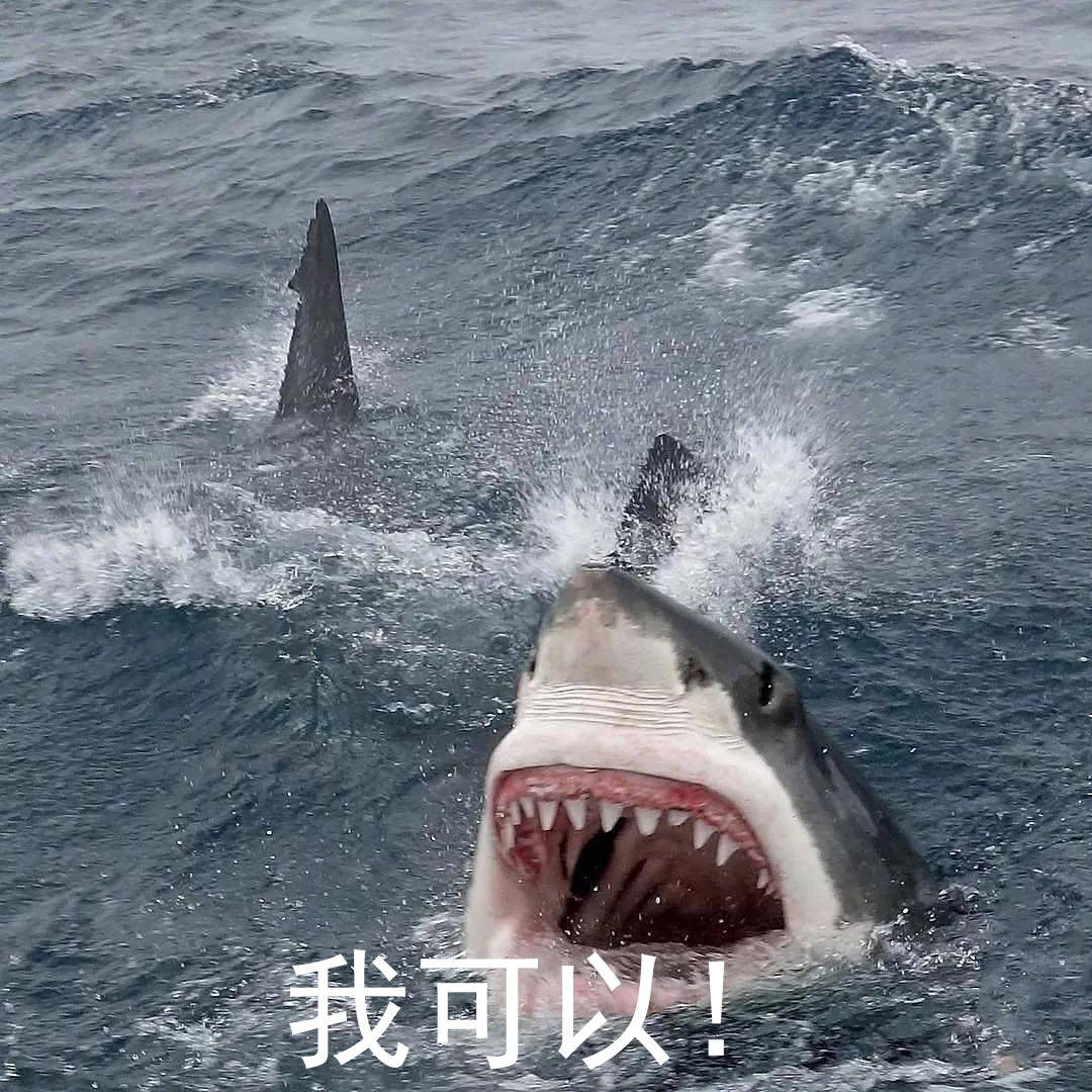 我可以！爱斗图gif搞笑图片