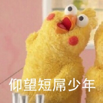 仰望短屌少年爱斗图gif搞笑图片