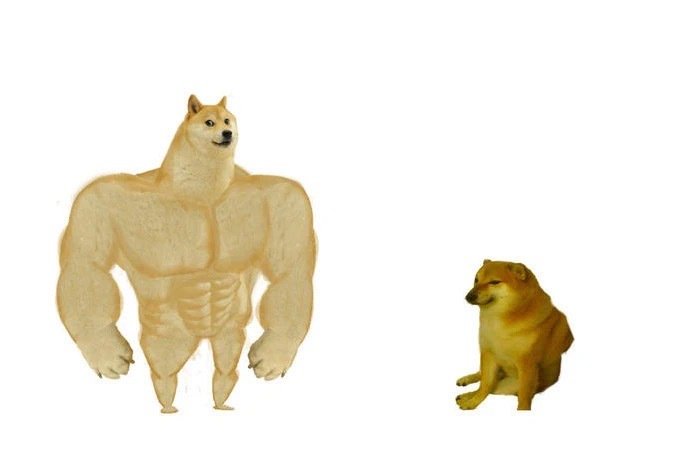 (肌肉 doge 与小废狗)爱斗图gif搞笑图片