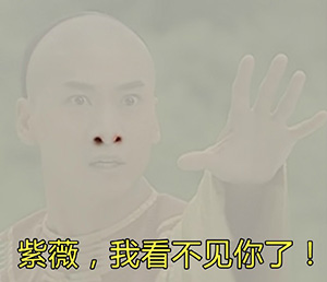 我看不见你爱斗图gif搞笑图片