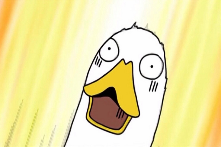 惊讶爱斗图gif搞笑图片