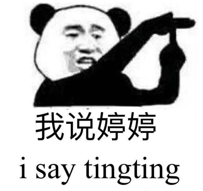 我说婷婷  i say tingting爱斗图gif搞笑图片