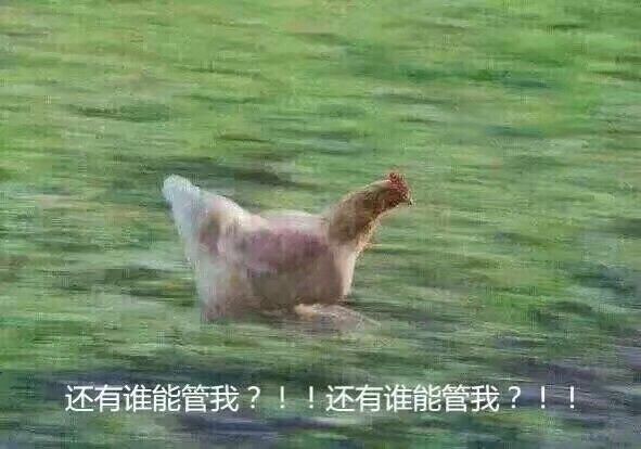 还有谁能管我？！爱斗图gif搞笑图片