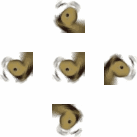 沙雕马旋转 GIF爱斗图gif搞笑图片