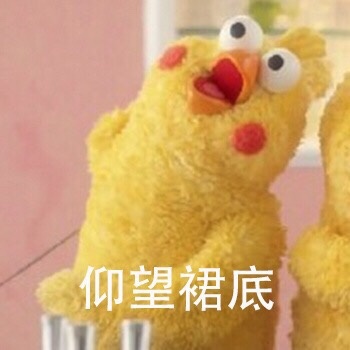 仰望裙底爱斗图gif搞笑图片