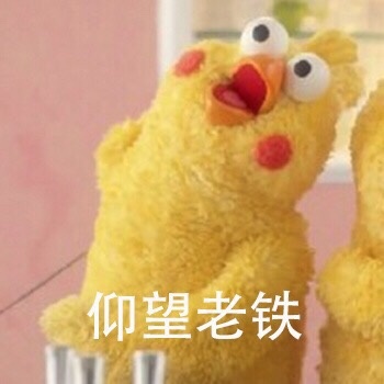 仰望老铁爱斗图gif搞笑图片