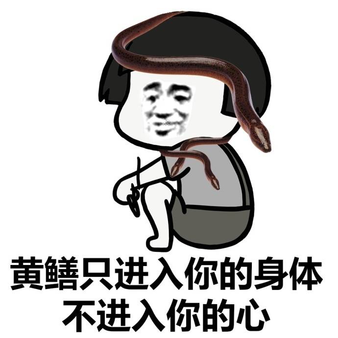 黄鳝只进入你的身体，不进入你的心爱斗图gif搞笑图片