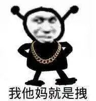 我他妈就是拽爱斗图gif搞笑图片