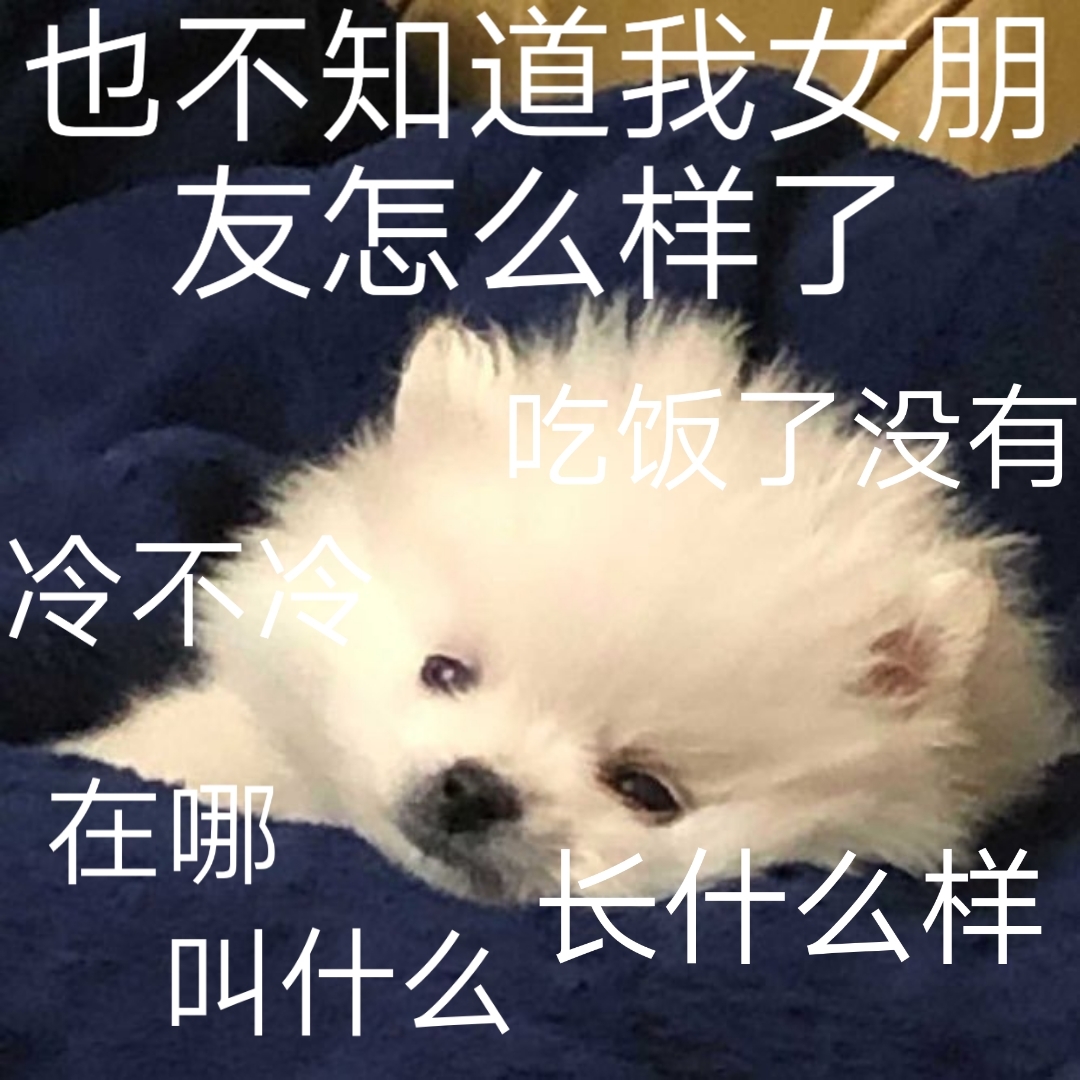 也不知道我女朋友怎么样了吃饭了没有冷不冷在哪长什么样叫什么爱斗图gif搞笑图片