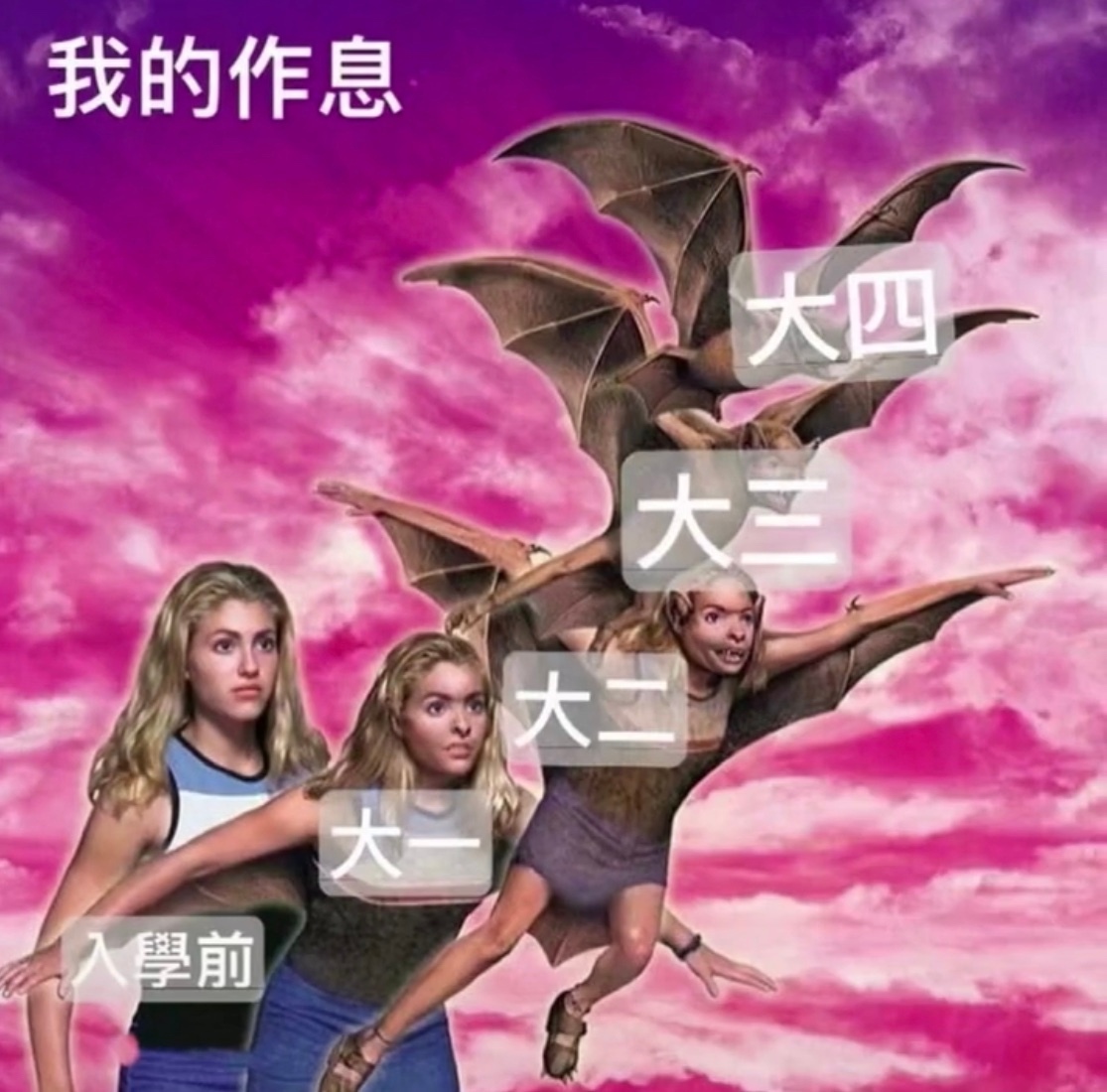 我的作息大四大三入學前爱斗图gif搞笑图片