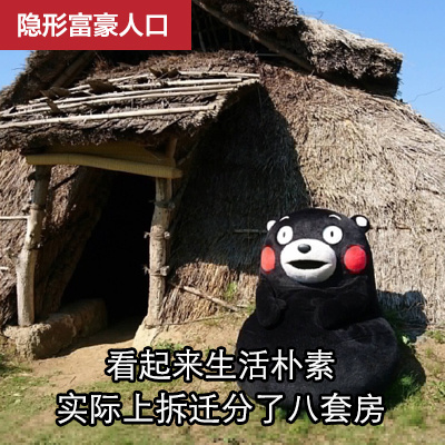 隐形富豪人口看起来生活朴素实际上拆迁分了八(套房爱斗图gif搞笑图片