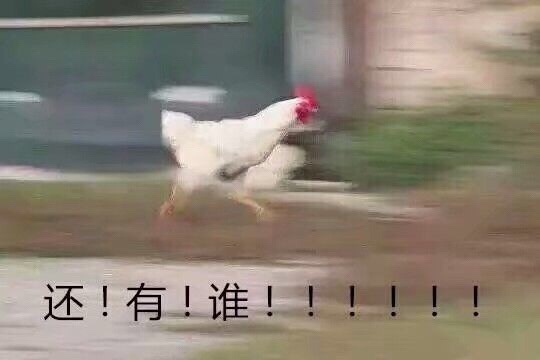 还有谁！！！爱斗图gif搞笑图片