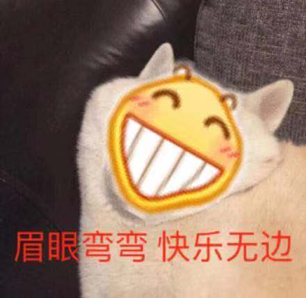 眉眼弯弯 快乐无边爱斗图gif搞笑图片