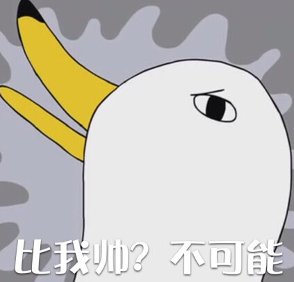 比我帅？不可能爱斗图gif搞笑图片