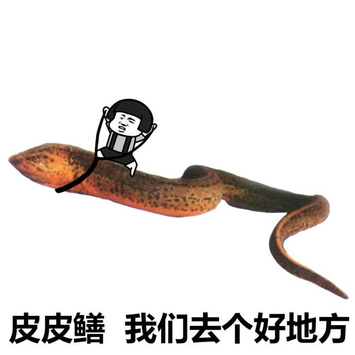 皮皮鳝，我们去个好地方爱斗图gif搞笑图片