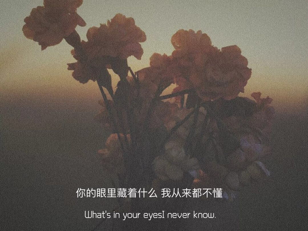 你的眼里藏着什么我从来都不懂What's in your eyesI never know爱斗图gif搞笑图片