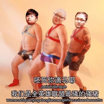 呸死你滴马耶，我们是全英雄联盟最骚的骚猪爱斗图gif搞笑图片