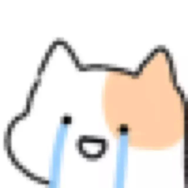 高糊小猫流泪爱斗图gif搞笑图片