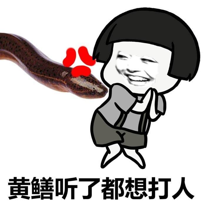黄鳝听了都想打人爱斗图gif搞笑图片