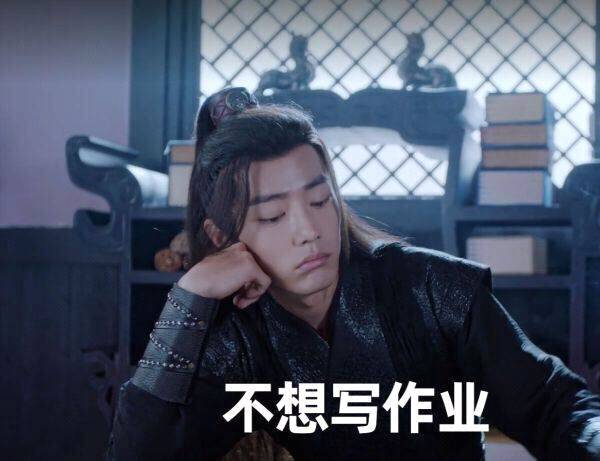 不想写作业（陈情令肖战）爱斗图gif搞笑图片