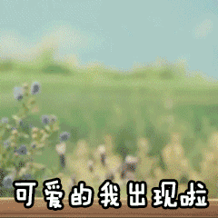 可爱的我出现啦爱斗图gif搞笑图片