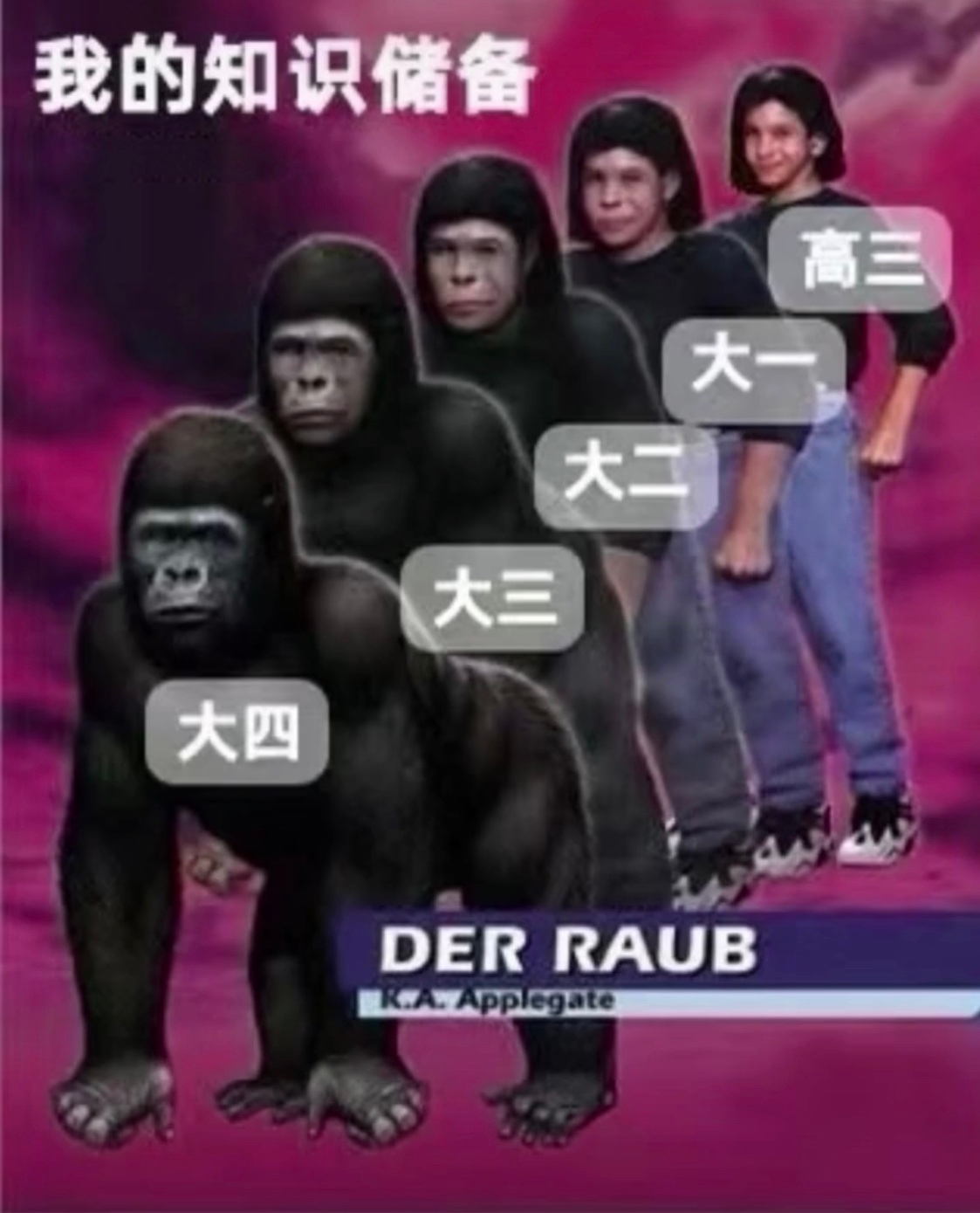 我的知识储备高三大一大二大三大四DER RAUB爱斗图gif搞笑图片