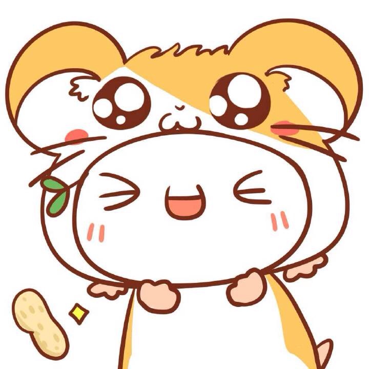 松鼠爱斗图gif搞笑图片