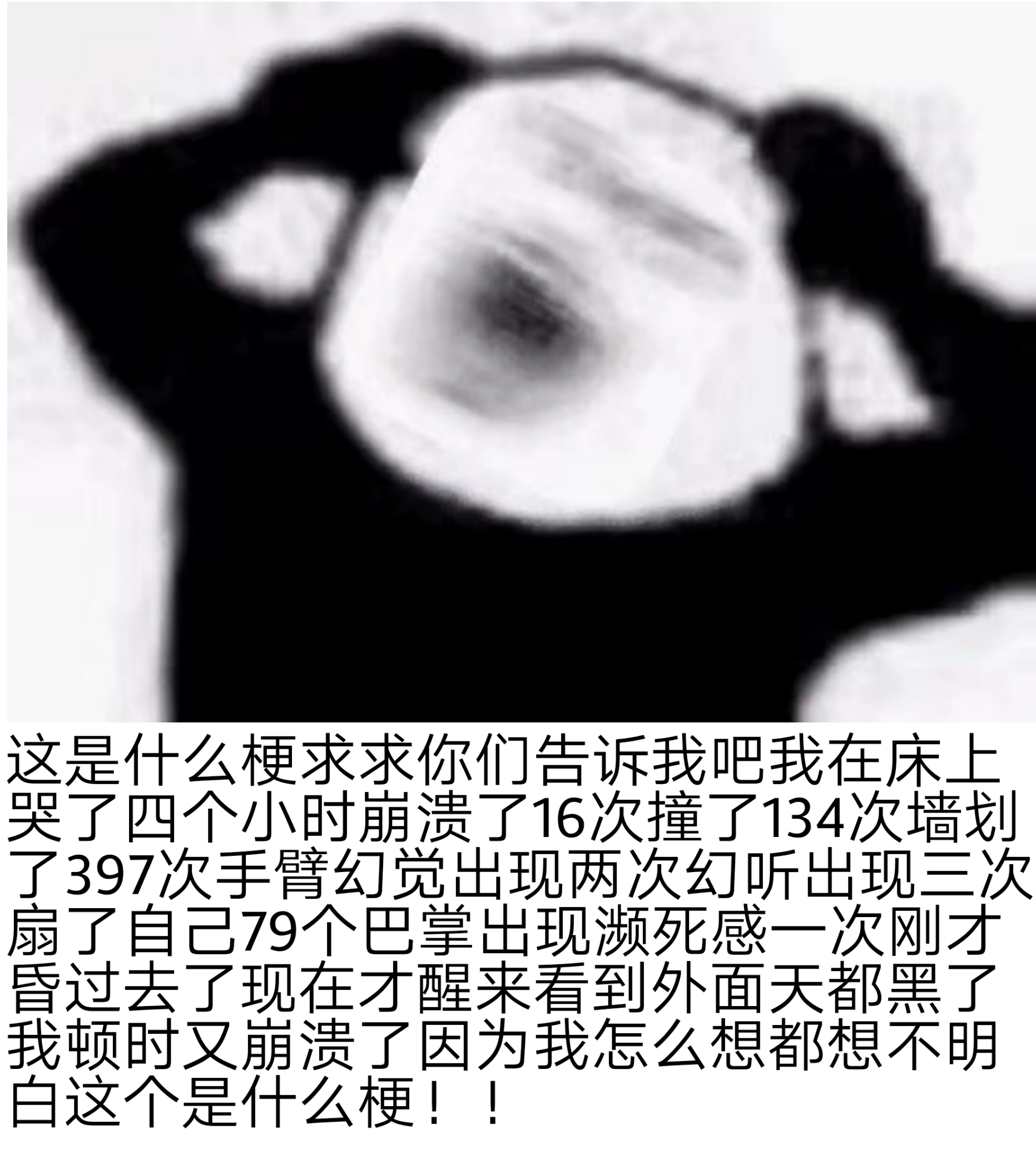 这是什么梗求求你们告诉我吧我在床上哭了四个小时崩溃了16次撞了134次墙划了397次手臂幻觉出现两次幻听出现三次扇了自己79个巴掌出现濒死感一次刚才昏过去了现在才醒来看到外面天都黑了我顿时又崩溃了因为我怎么想都想不明白这个是什么梗!!爱斗图gif搞笑图片