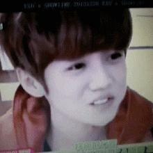 吃货鹿晗爱斗图gif搞笑图片