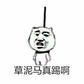 草泥马真踢啊爱斗图gif搞笑图片