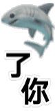 鲨鱼了你爱斗图gif搞笑图片