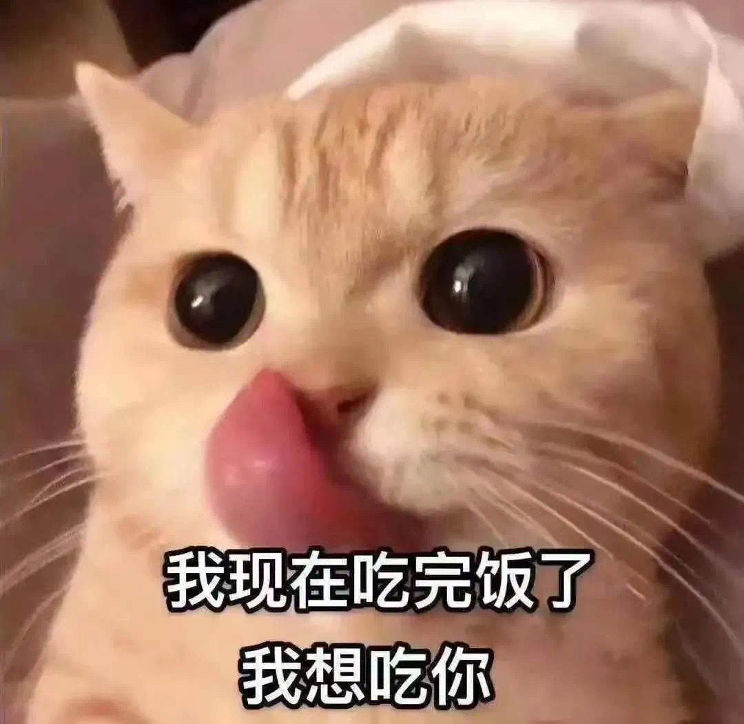 我现在吃完饭了 我想吃你爱斗图gif搞笑图片