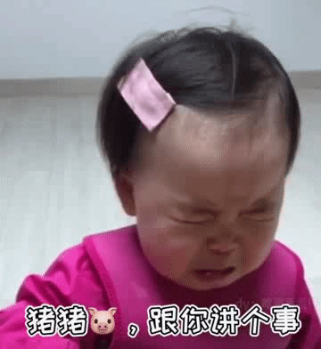 猪猪，跟你讲个事爱斗图gif搞笑图片