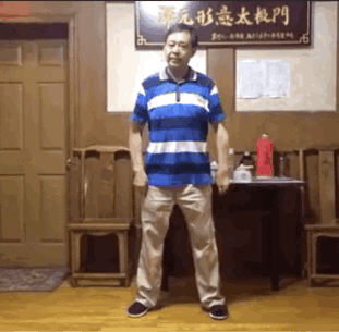 马保国打拳GIF 动图爱斗图gif搞笑图片