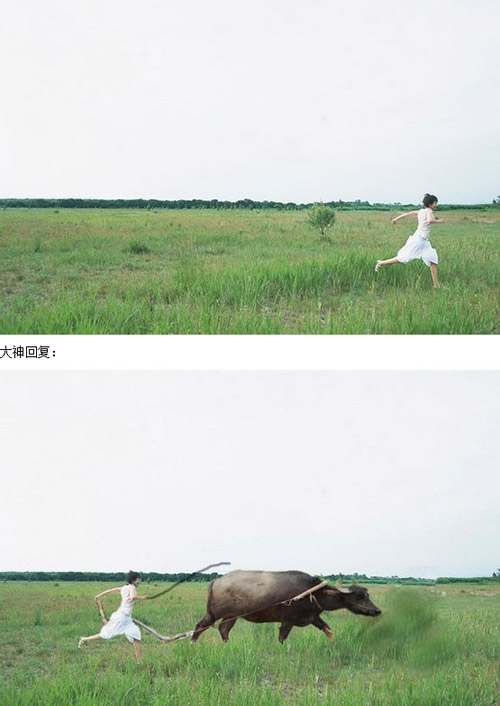 求PS大祥旁边帮我P只牛！搞笑图吧gif搞笑图片