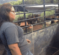 不给我喂吃的 你还在我面前嘚瑟 我顶搞笑图吧gif搞笑图片