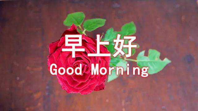 温暖早安祝福图片搞笑图吧gif搞笑图片