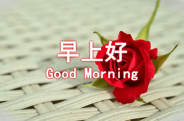 最美的早上好祝福图片搞笑图吧gif搞笑图片