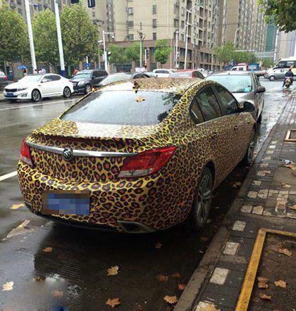 车主一定是霸气的女司机！搞笑图吧gif搞笑图片