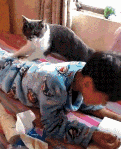 按摩得不错搞笑图吧gif搞笑图片