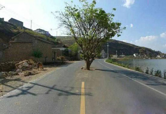 此路由我开，此树由我栽搞笑图吧gif搞笑图片