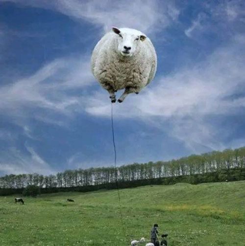 噢，俺的绵羊飞走啦搞笑图吧gif搞笑图片